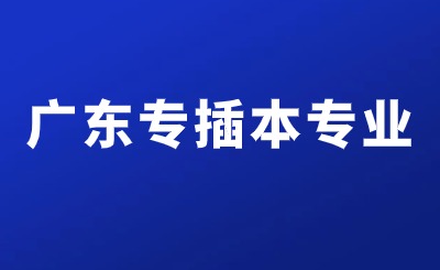广东专插本专业